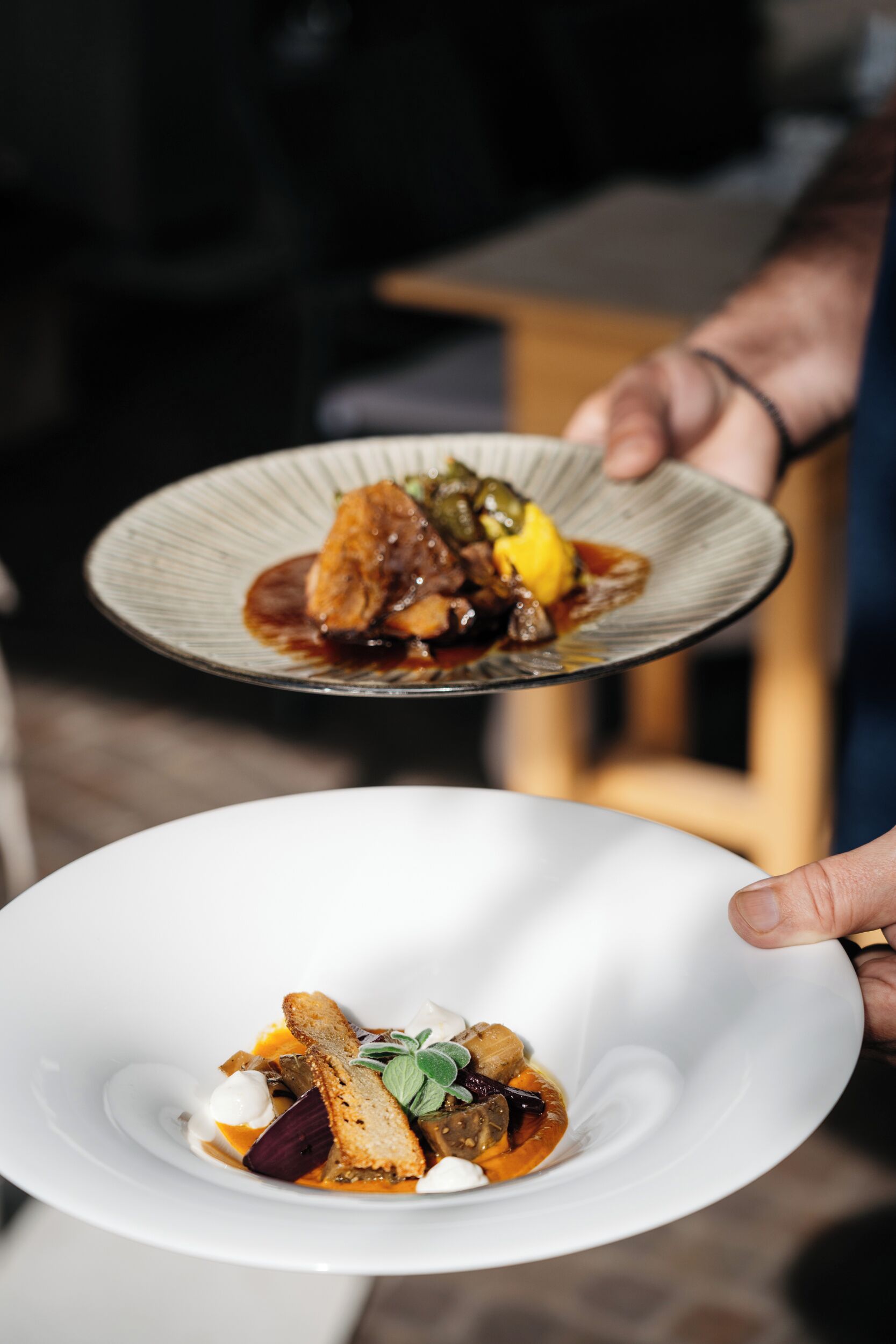 A person holding a plate with a dish that includes meat and vegetables, and another plate with a different dish.