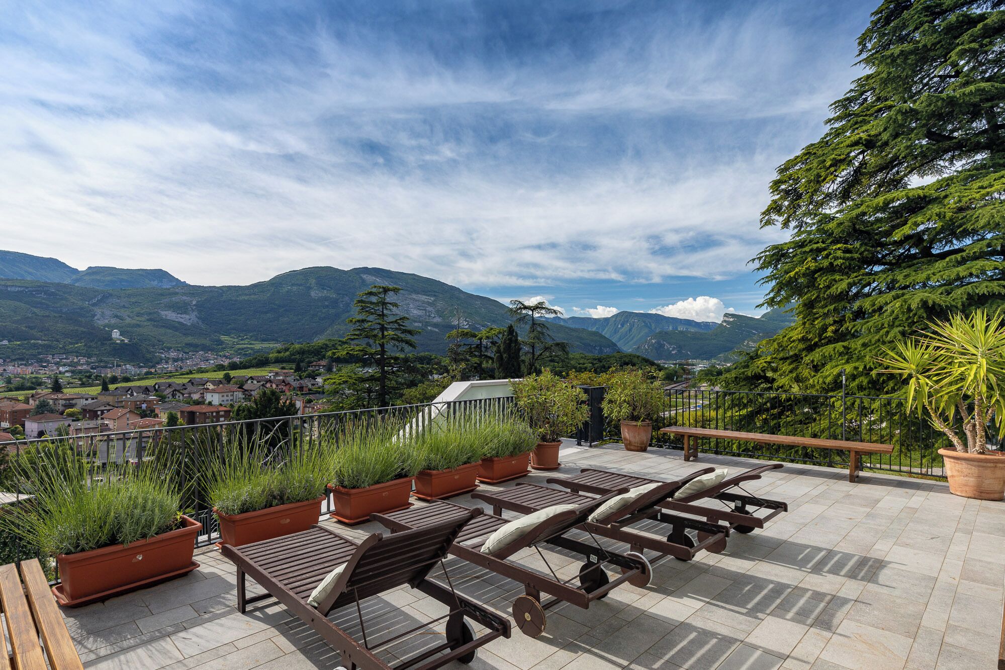 テラス / パティオ