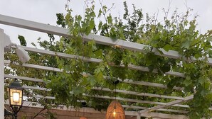 Un espacio de estar al aire libre con un menú, luces colgantes y vegetación.