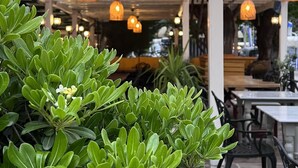 Un espacio de estar al aire libre con pérgola de madera y faroles colgantes.