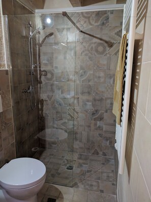 A glass-enclosed shower area with a toilet and a towel rack. - B&B La Casetta (Cavallino)
