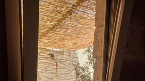 Una ventana con vistas a un sofá amarillo, una mesita y una planta en maceta.