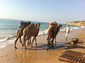 Beach - Asilah Marina Golf (Asilah)