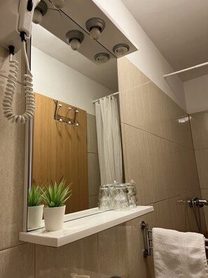 Une salle de bain avec une douche, un miroir, un porte-serviettes et une étagère sur laquelle est posée une plante en pot.