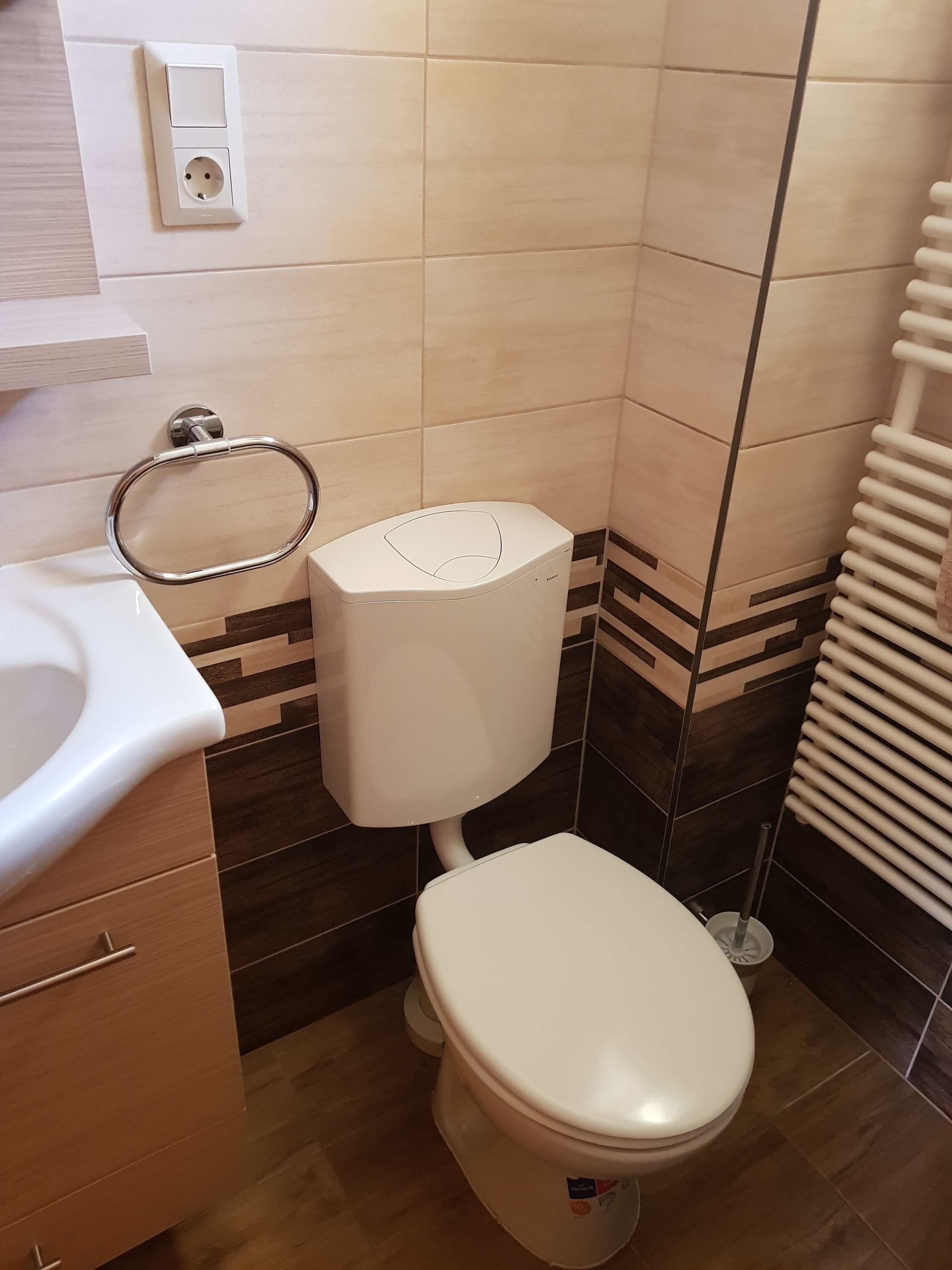 A bathroom with a toilet, sink, and towel rack.