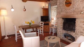 电视、壁炉、DVD 播放器