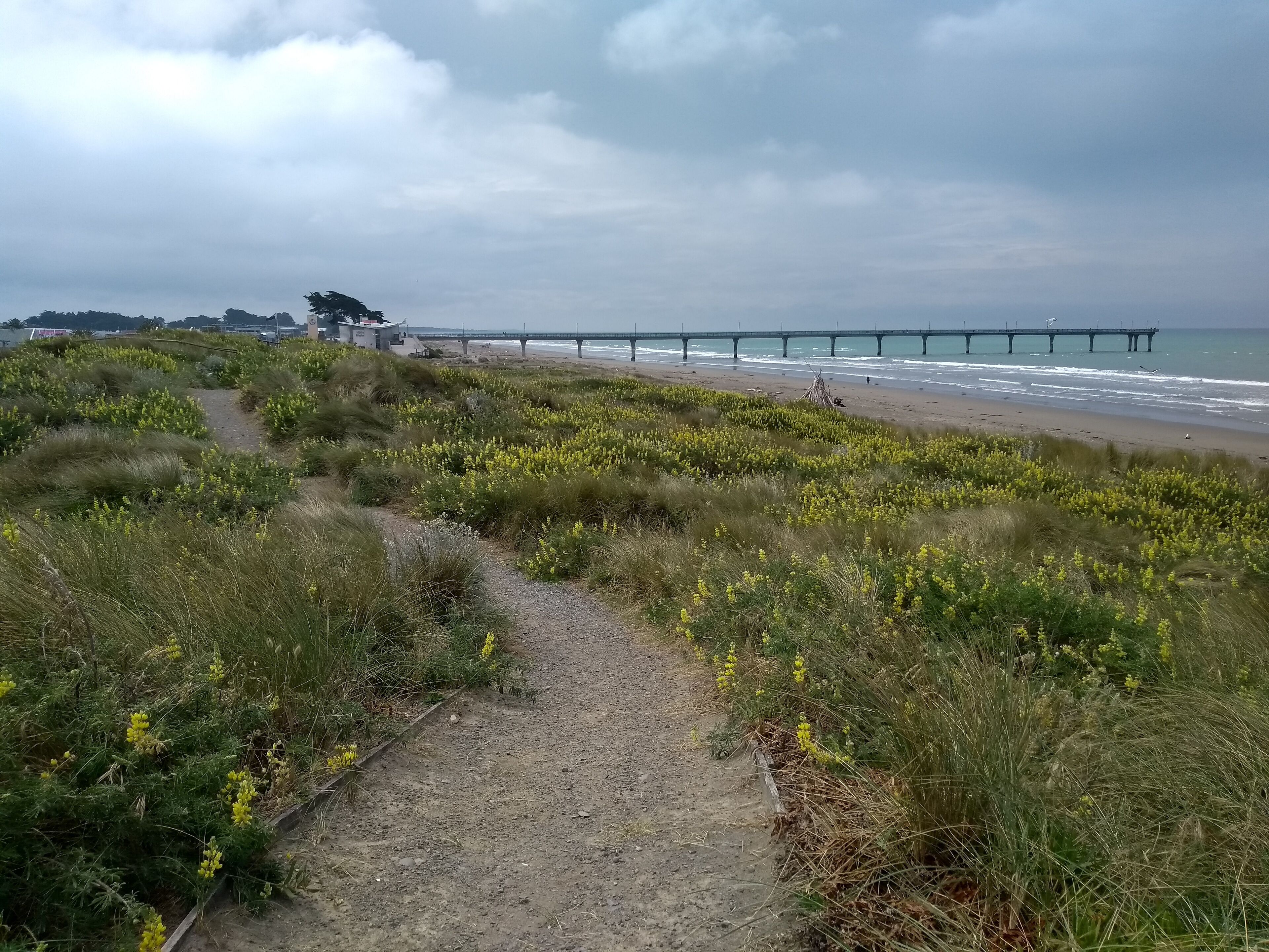 Foto - South Brighton Holiday Park