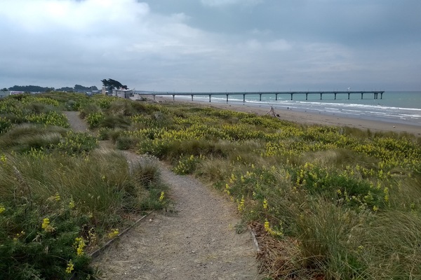 Beach nearby