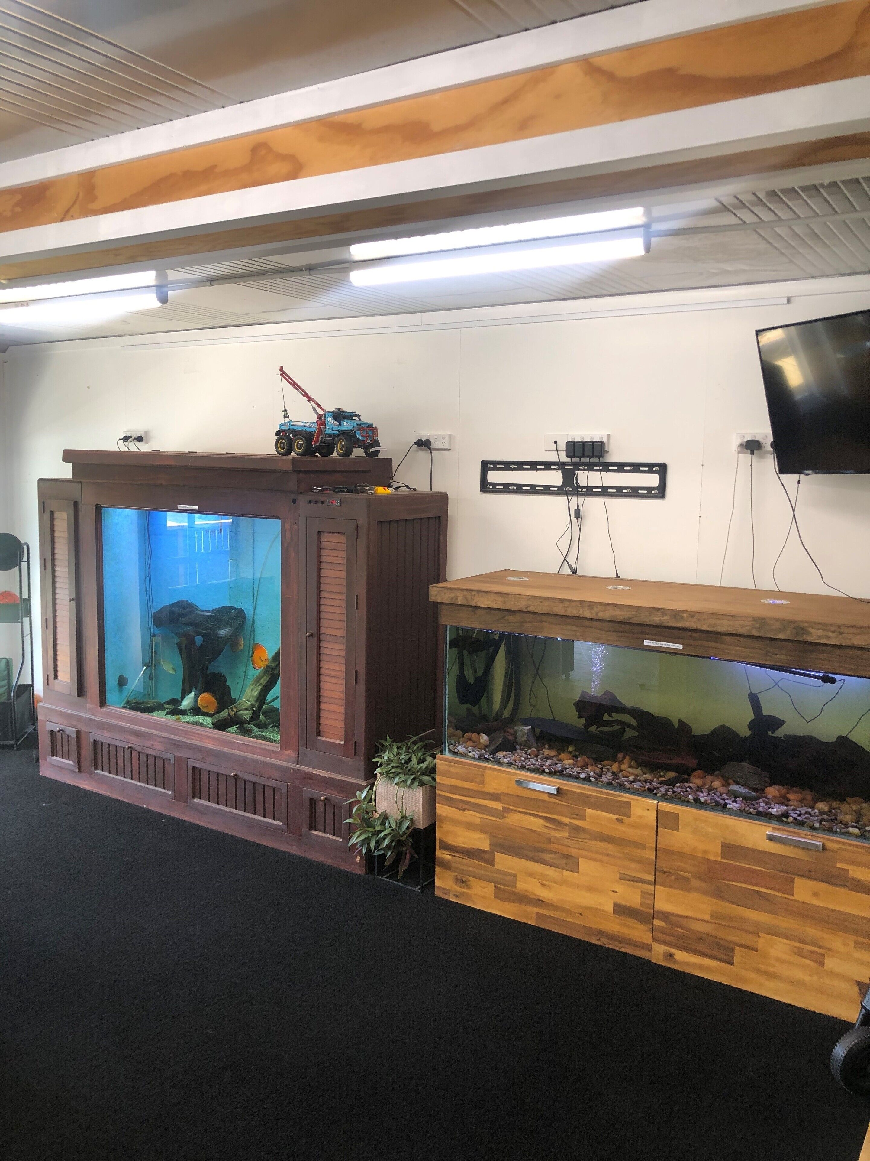 Foto - South Brighton Holiday Park