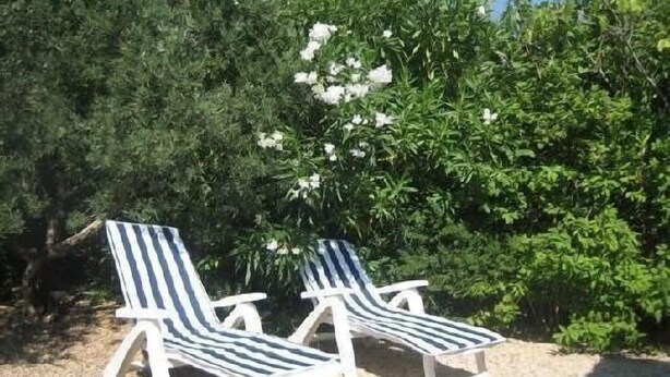 Two striped lounge chairs positioned on a sandy surface, surrounded by dense green foliage and a flowering bush. - CENTRE HISTORIQUE MAUSSANE, house 72 m2 with fenced garden,  (Maussane les alpilles)