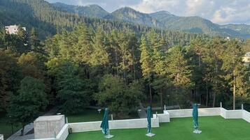 Executive Suite | Courtyard view