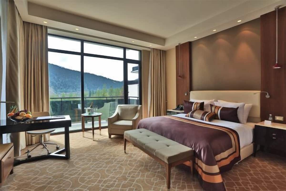 Minibar, in-room safe, desk, laptop workspace