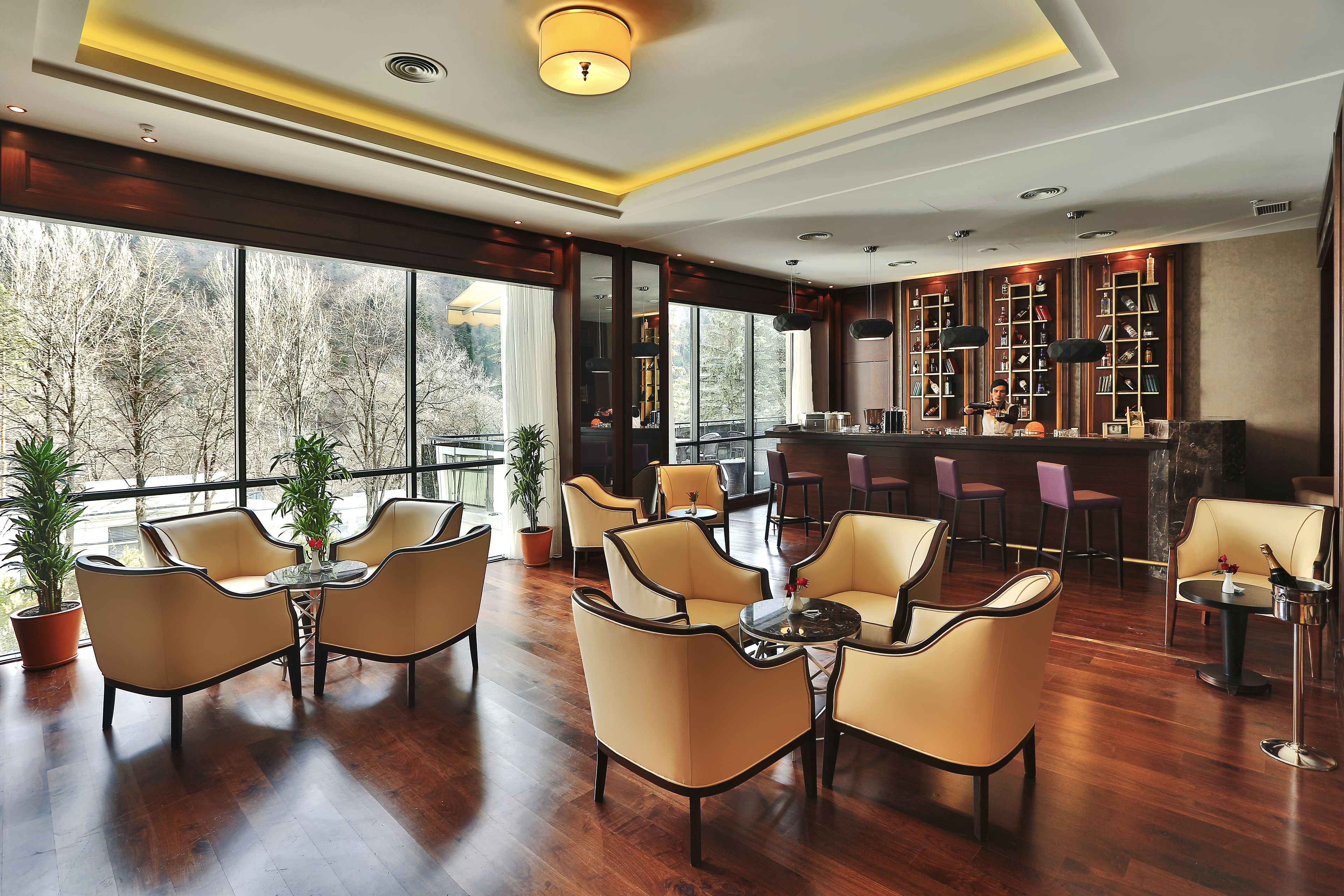 A spacious lobby with a bar area, large windows offering a view of trees, and several seating arrangements.