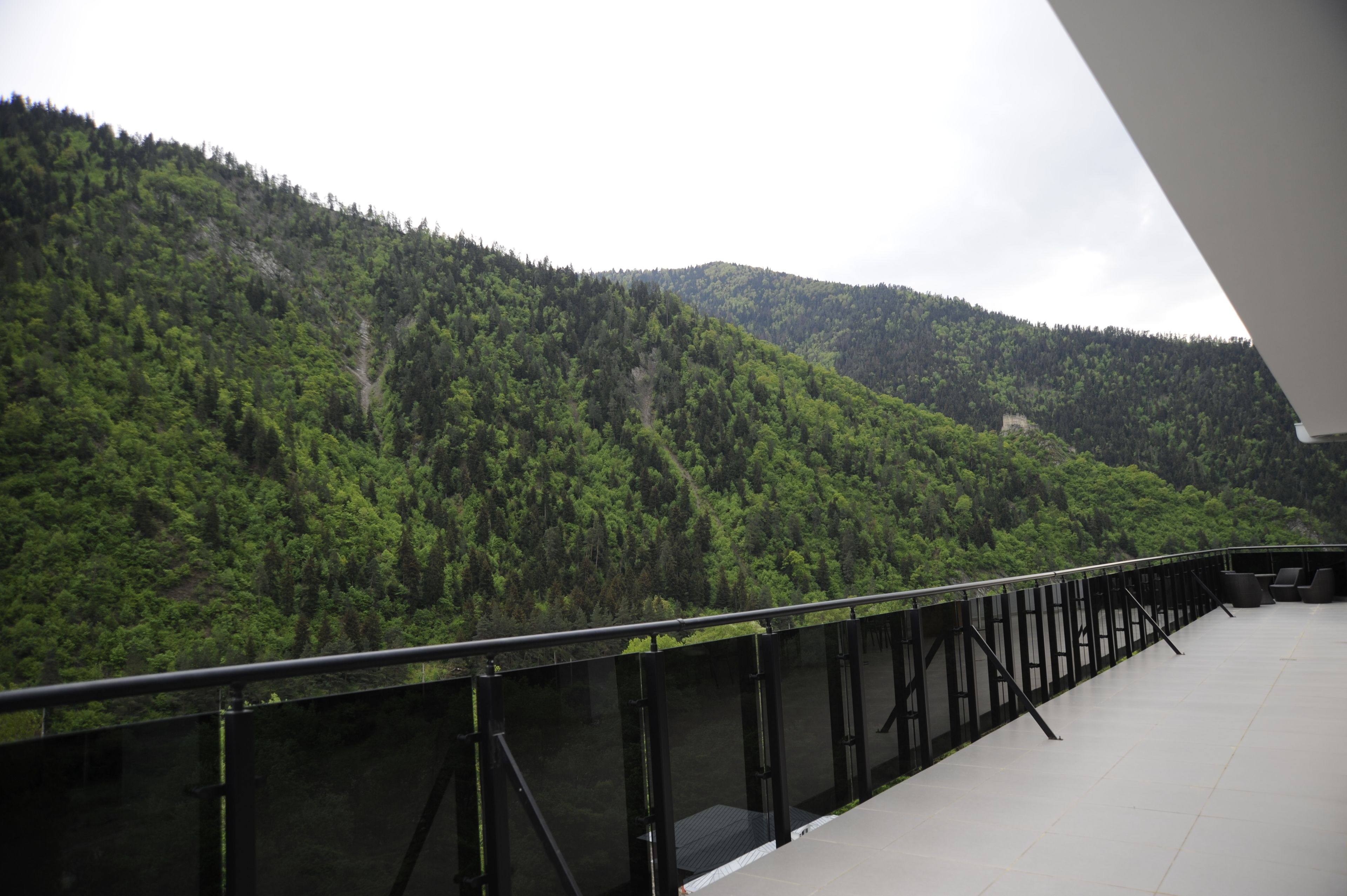 A bridge with a metal railing overlooking a forested hillside.