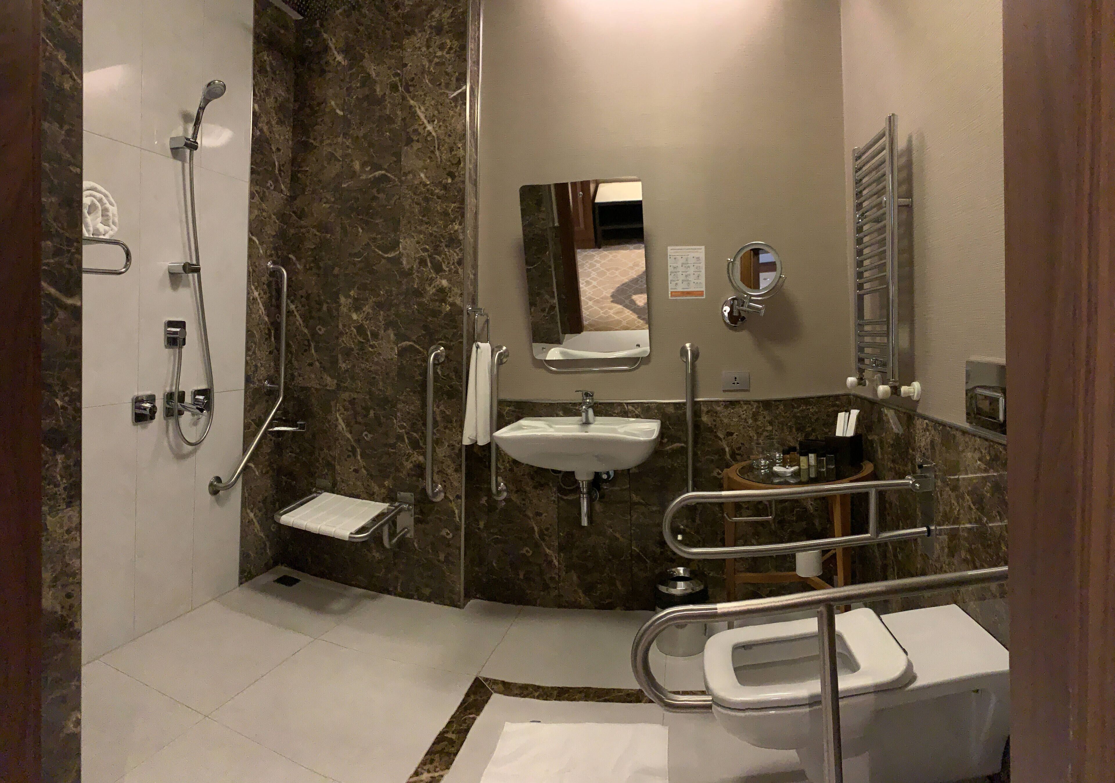 A modern bathroom with a shower, toilet, sink, and handrails.