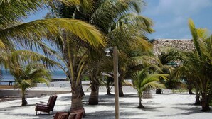 Ein Strand mit Palmen, einer hölzernen Bank und einer Betonmauer im Hintergrund.
