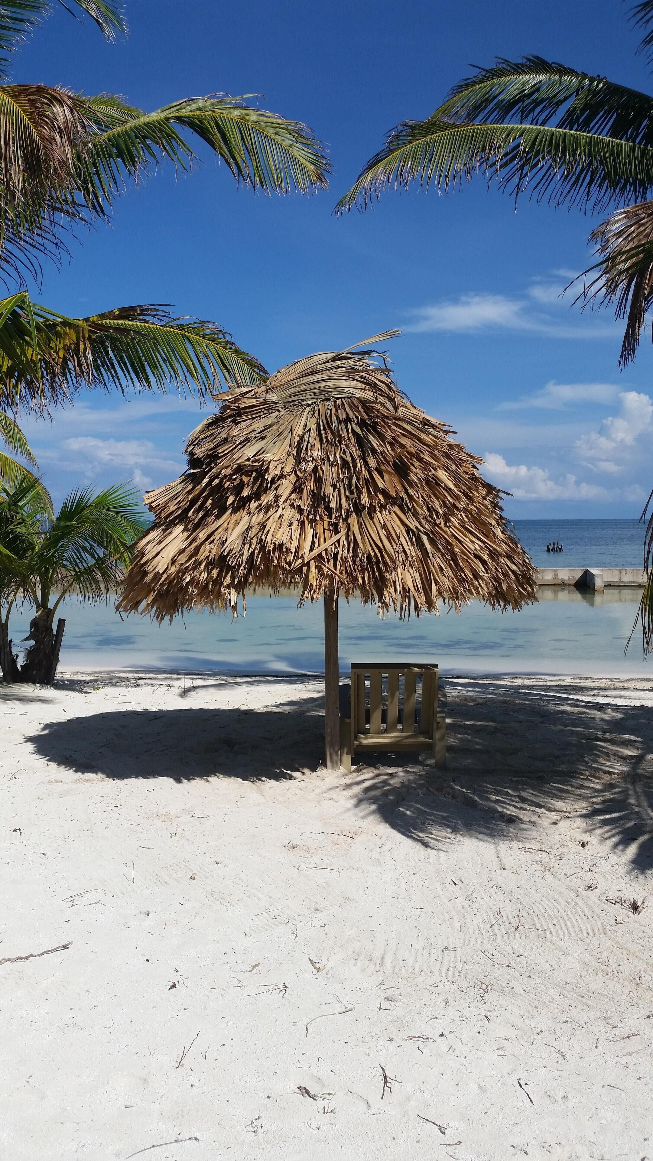 A beach scene with a thatched umbrella, a wooden bench, and palm trees.