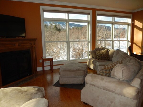 Smart TV, fireplace, DVD player, books