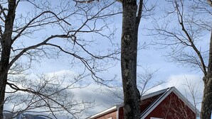 A two-story red house with a white porch and a snow-covered yard. - 2026-27 dates available! Mountain biking or hiking the Green Mtn, or ski Okemo! (Ludlow)