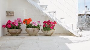 Three large flower pots with vibrant flowers on a white tiled floor next to a white staircase. - Domus Dejana (Gallipoli)
