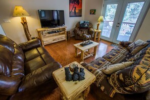 TV, fireplace, DVD player, books