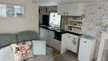 Classic Mobile Home, Private Bathroom, Courtyard View | Private kitchen