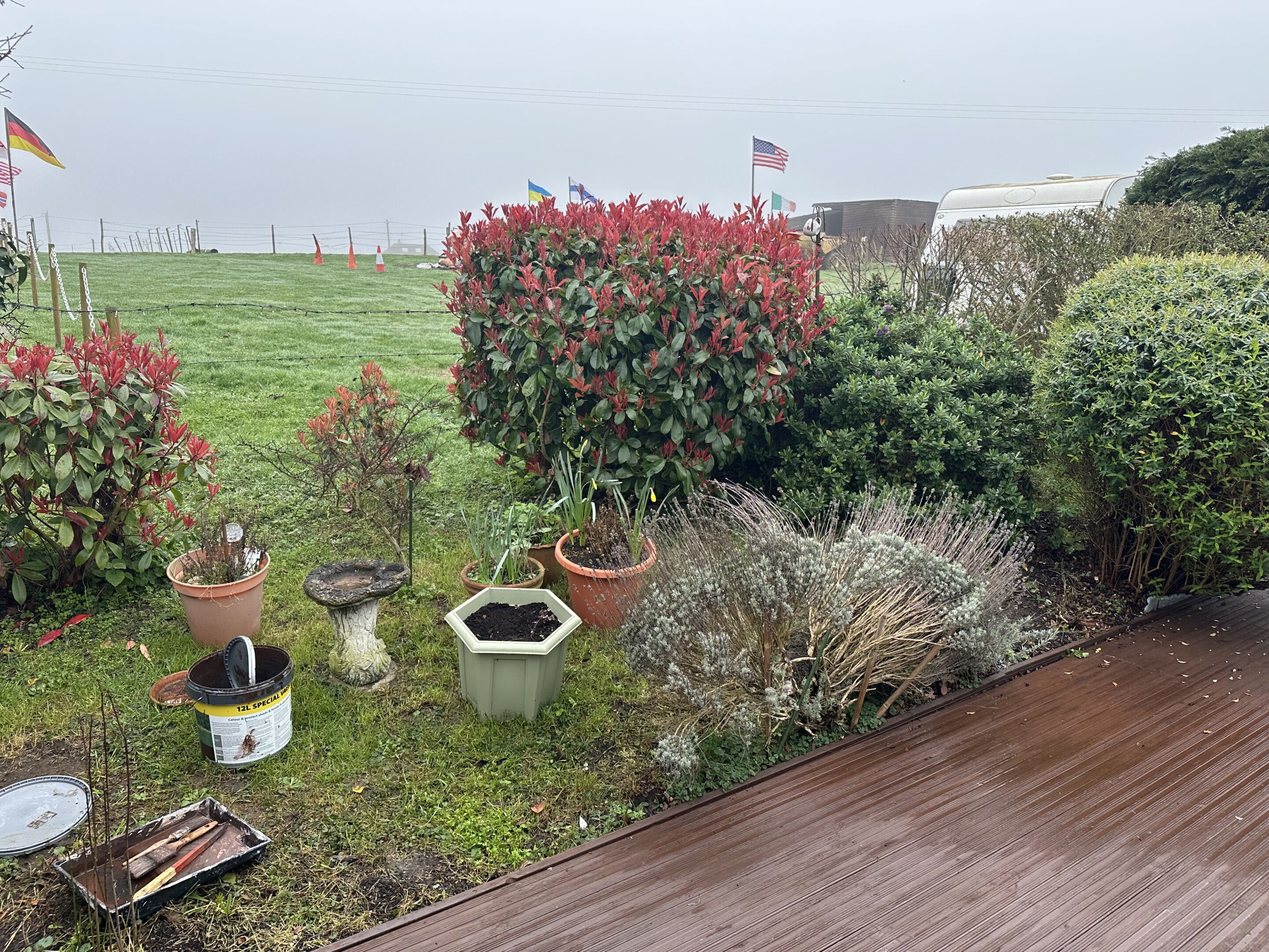 Mobile Classic-Unterkunft, eigenes Bad, Blick auf den Innenhof | Garten