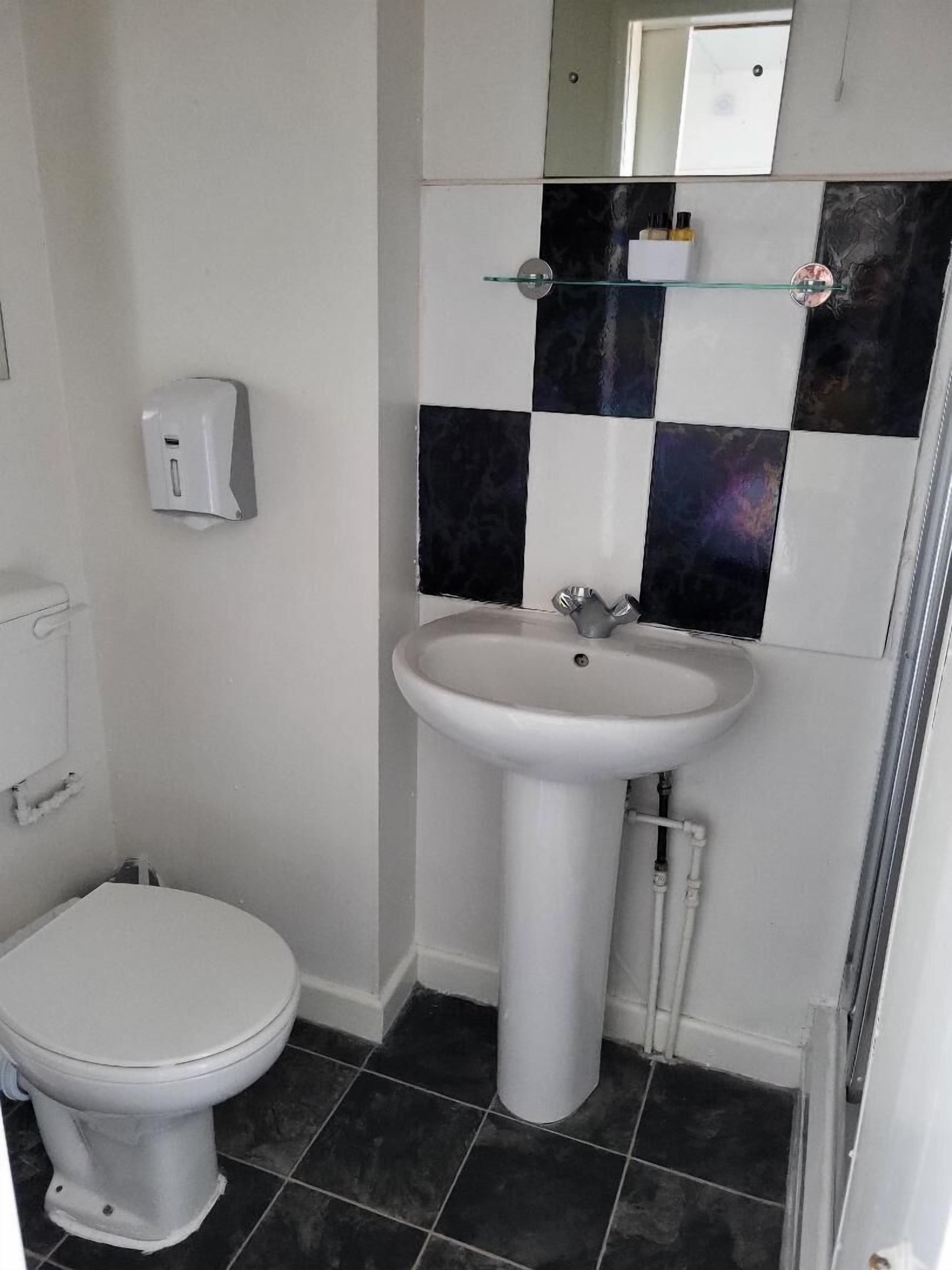 A bathroom with a toilet, a sink, and a mirror.