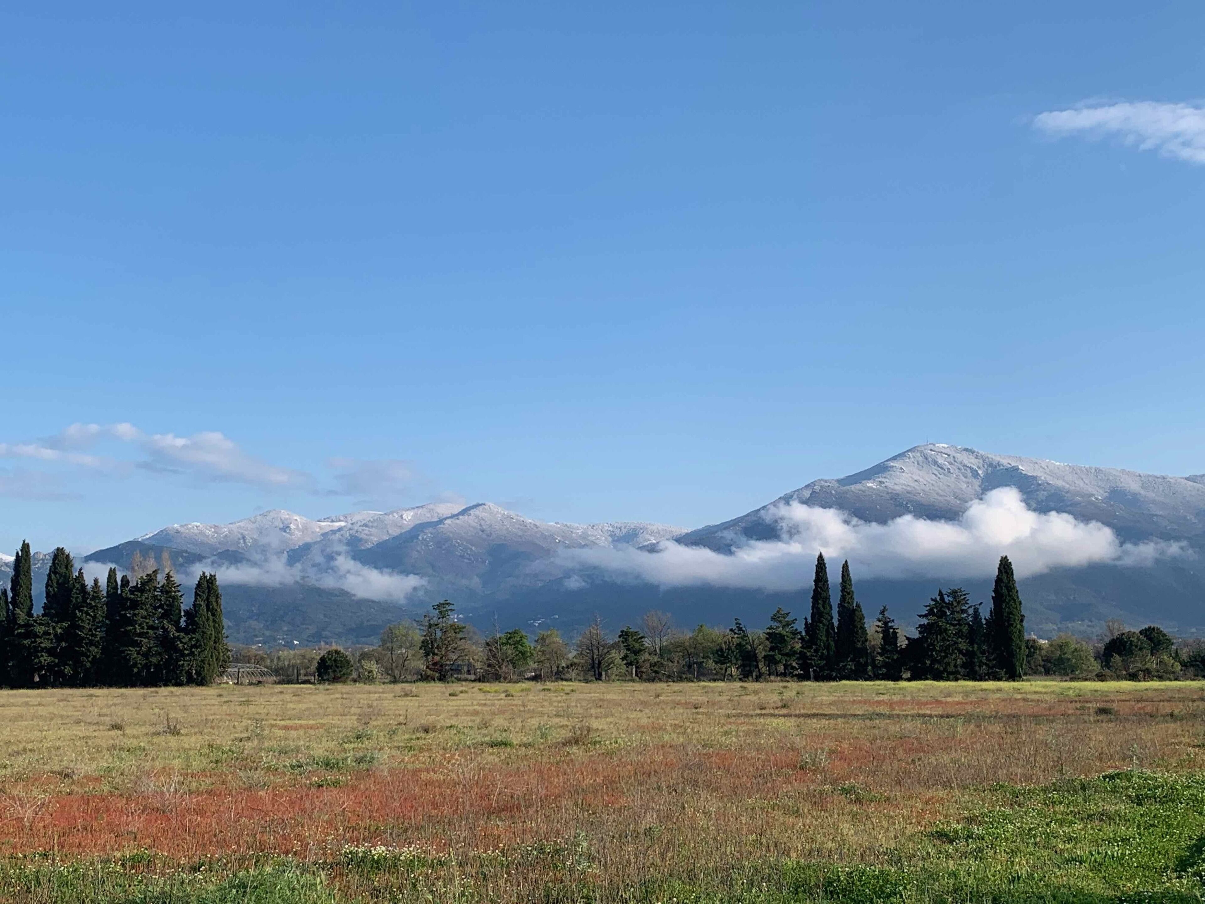 Foto - Chambres d hôtes du Castell de Blés
