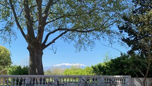 A terrace with outdoor seating, a large tree, and a mountain in the background.