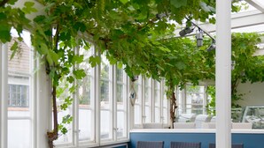 A covered outdoor seating area with blue walls and white-framed windows, featuring wicker chairs and a glass table. - Branteviks Bed & Breakfast (Brantevik)
