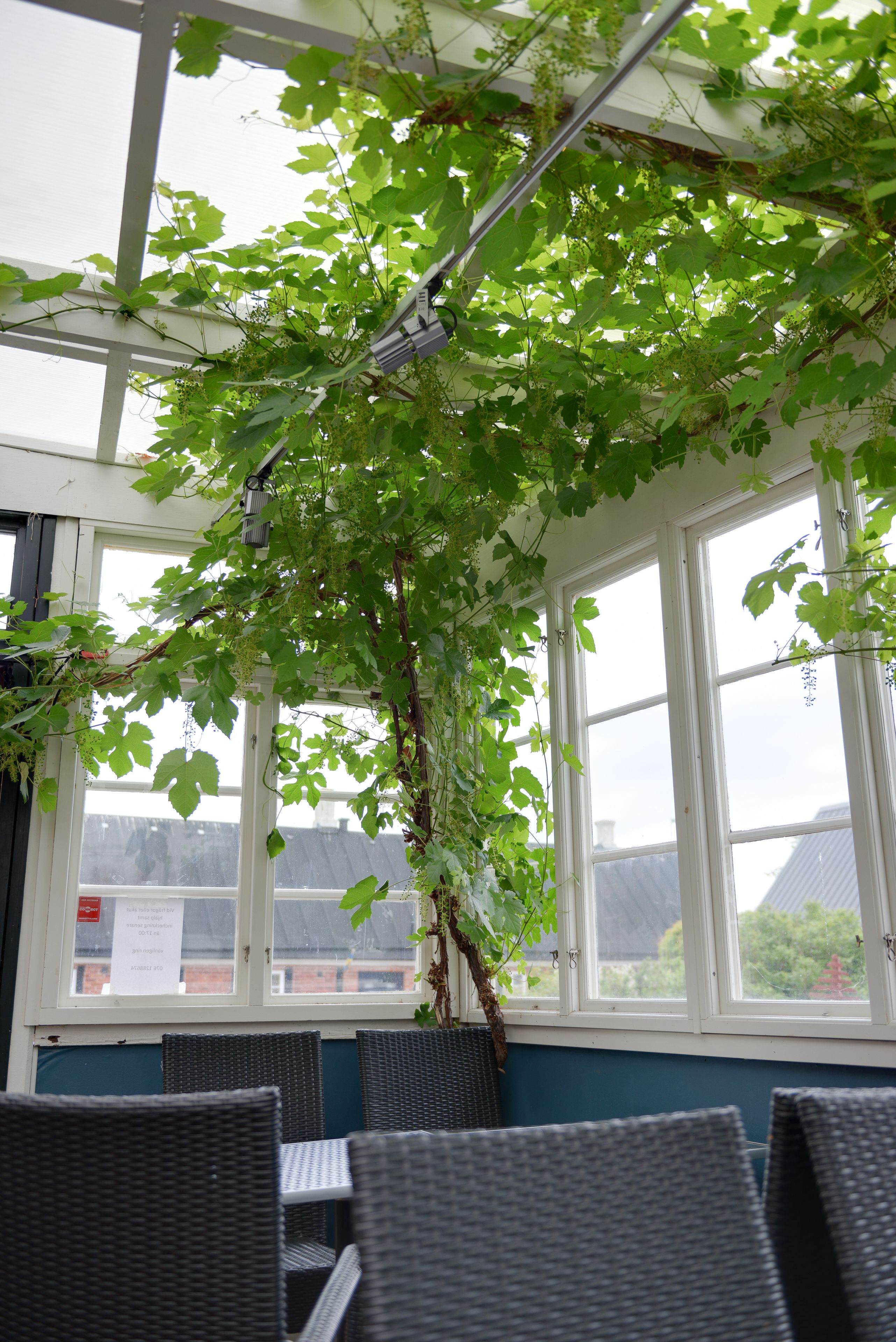 Towels, soap, toilet paper