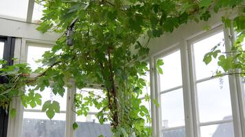 Towels, soap, toilet paper