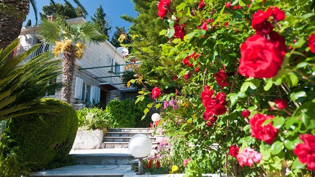 Un jardin bien entretenu, agrémenté de rosiers rouges, d’un palmier et d’un arbuste taillé avec soin, se trouve devant un bâtiment à la façade en pierre, avec des marches menant à une porte.