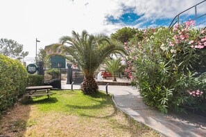 Entrada de hotel con una palmera, una mesa de picnic y un camino que lleva al edificio.