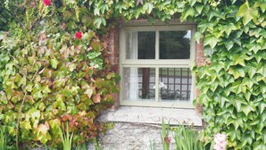 Un edificio de ladrillo con una ventana, rodeado de abundante follaje y plantas con flores.