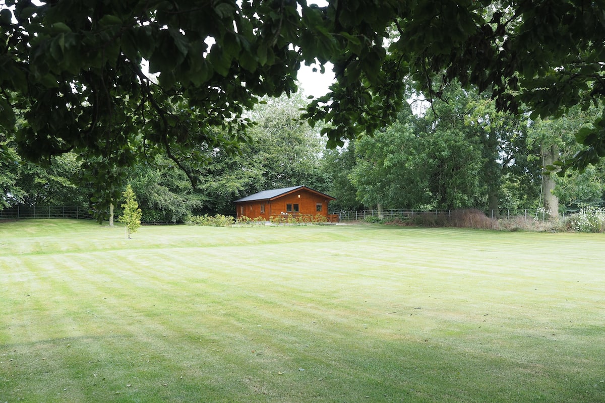 A grassy field with a wooden cabin and dense trees in the background.
