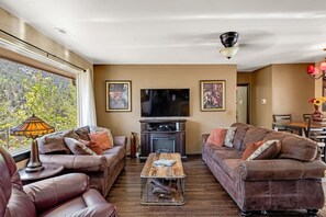 智能電視、壁爐、DVD 播放機、書籍