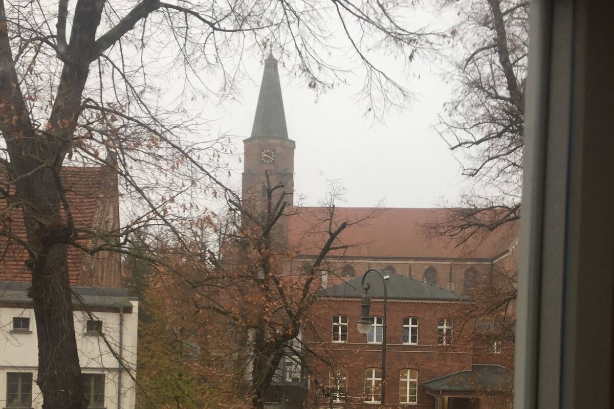 Vista de un edificio con una torre destacada y fachada de ladrillo, visible a través de una ventana, con árboles desprovistos de hojas en primer plano.