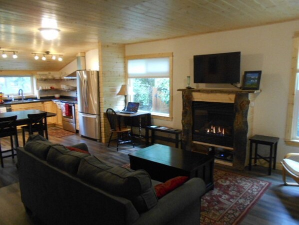 TV, fireplace, books