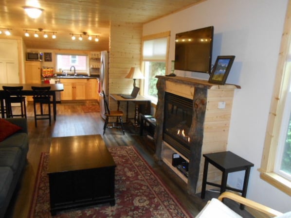TV, fireplace, books