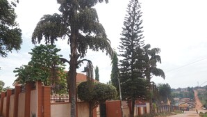 Una zona residencial con una calle pavimentada, un acceso con reja y diferentes tipos de árboles.