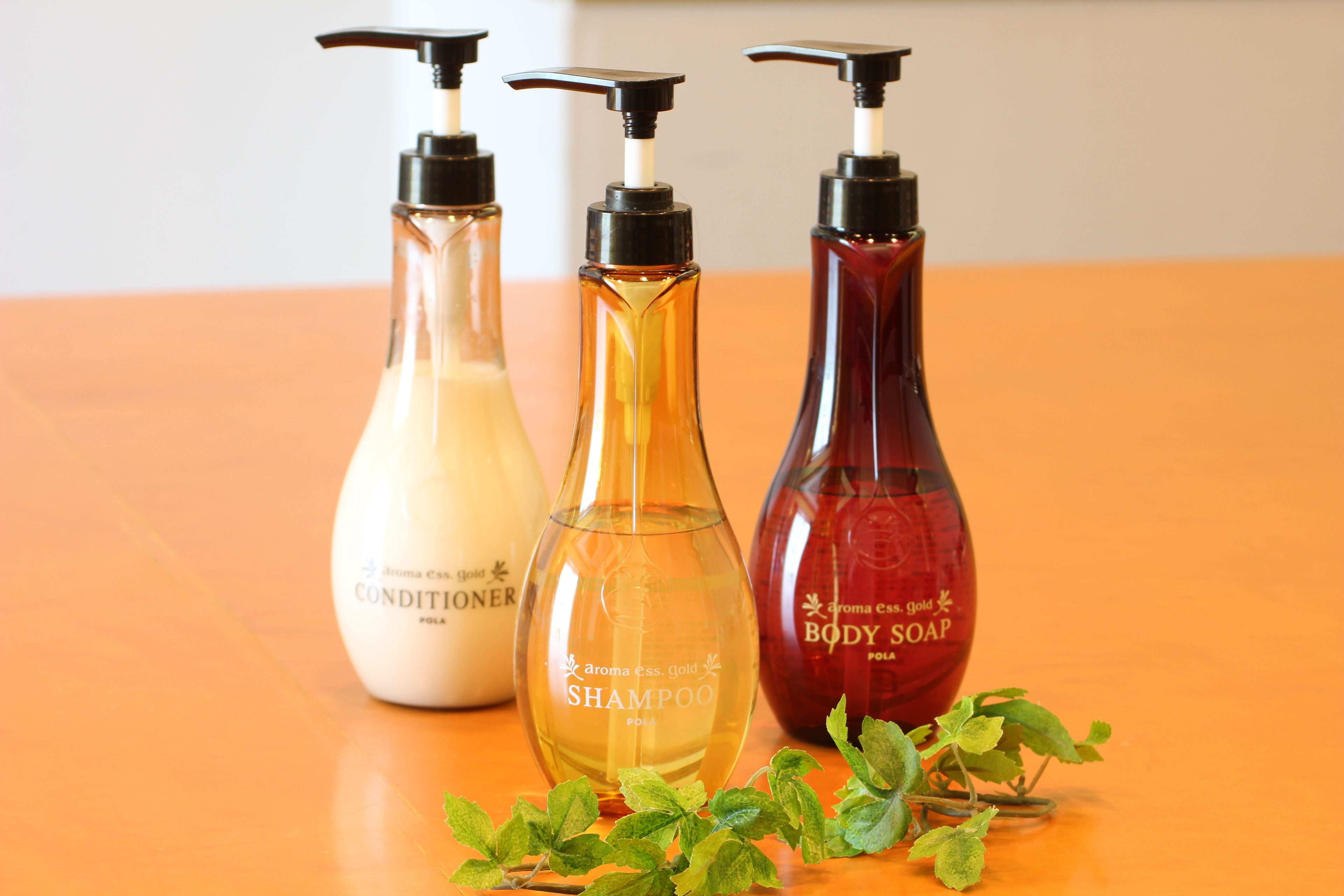 combined shower/bathtub, free toiletries, hair dryer, slippers