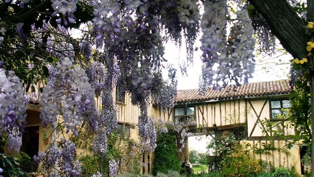 A traditional building with a tiled roof and a garden with purple flowers. - Jouandassou (Fontrailles)