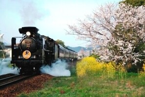 Miscellaneous - Yamaguchi Grand Hotel (Yamaguchi)