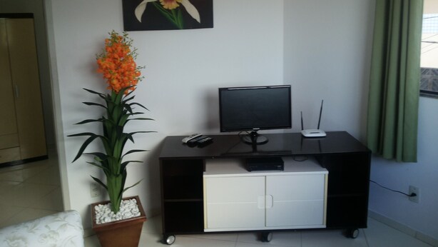 Een kamer met een televisie op een standaard, een bloempot en een bloem op het schilderij aan de muur.