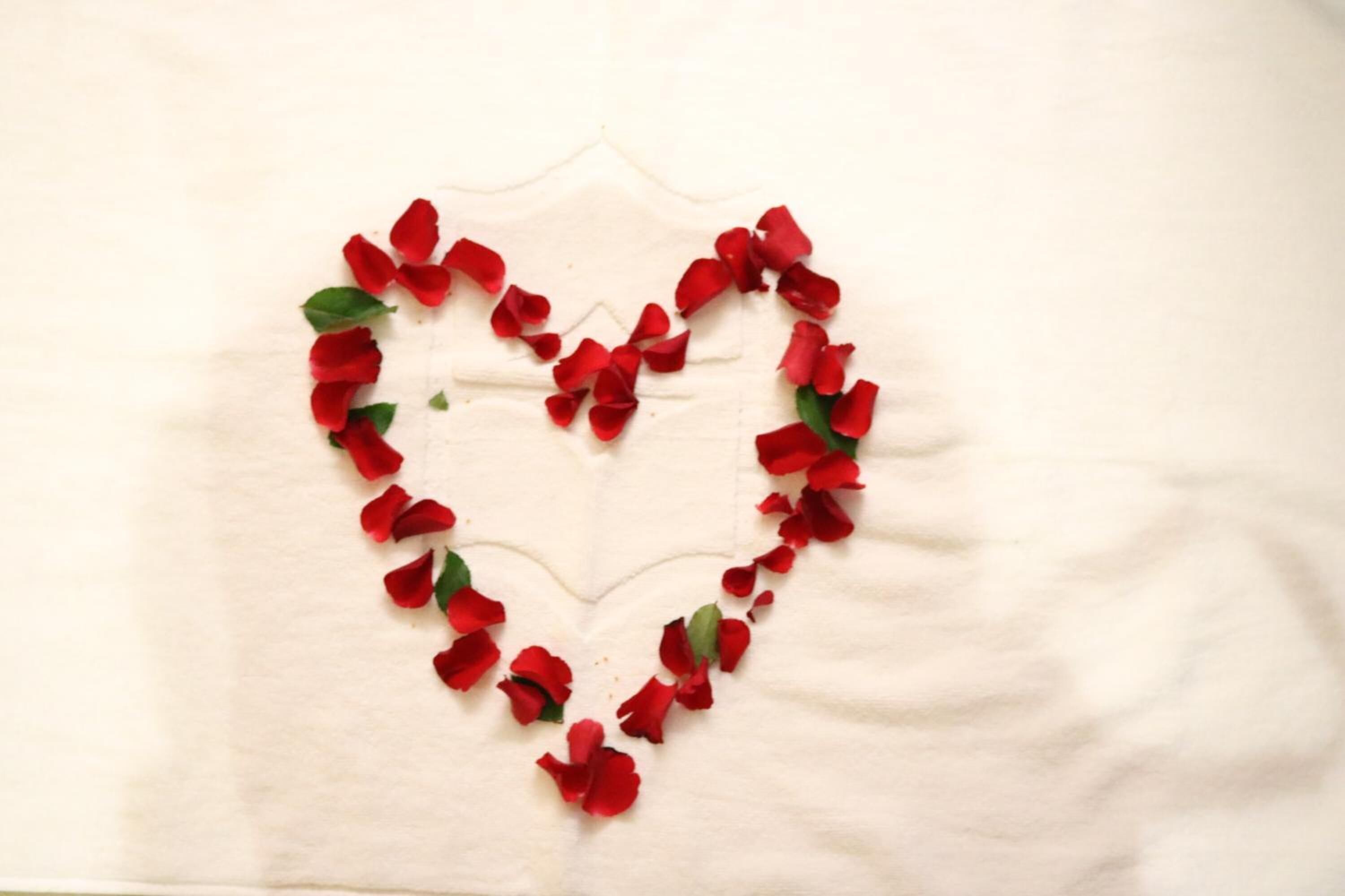 superior single room, 1 bedroom | 1 bedroom, in-room safe, individually furnished, desk