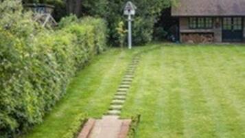 Khuôn viên nơi lưu trú