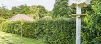 Knole B&B
