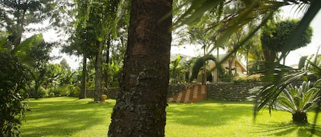 Jardin